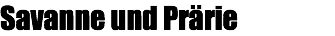 Savanne und Prärie